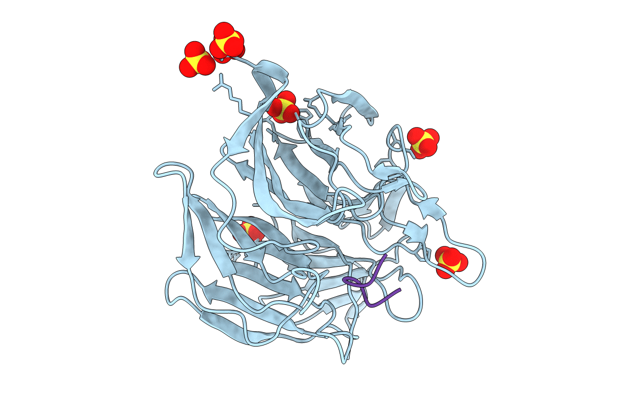 2DYH image