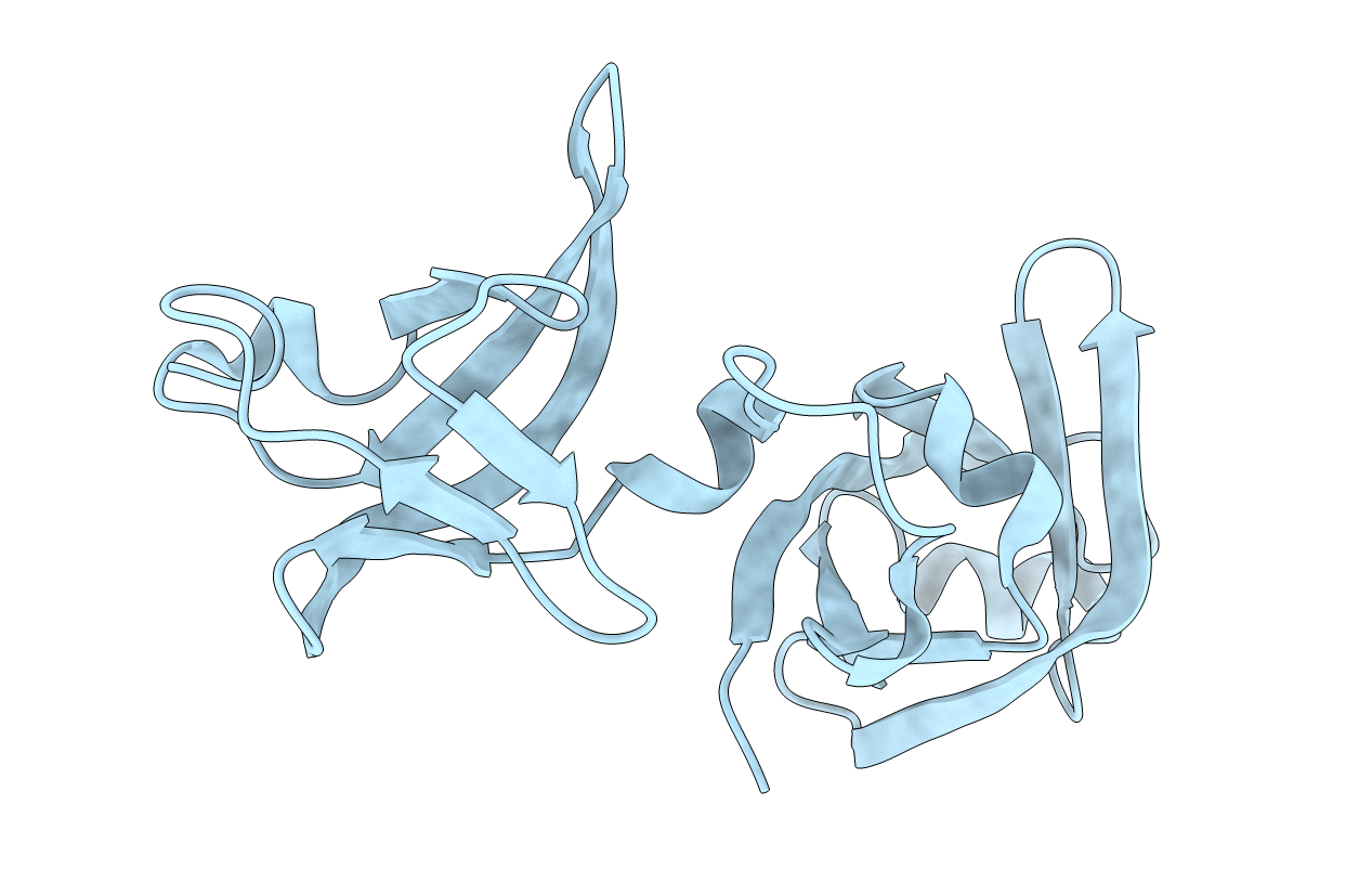 2DYI image