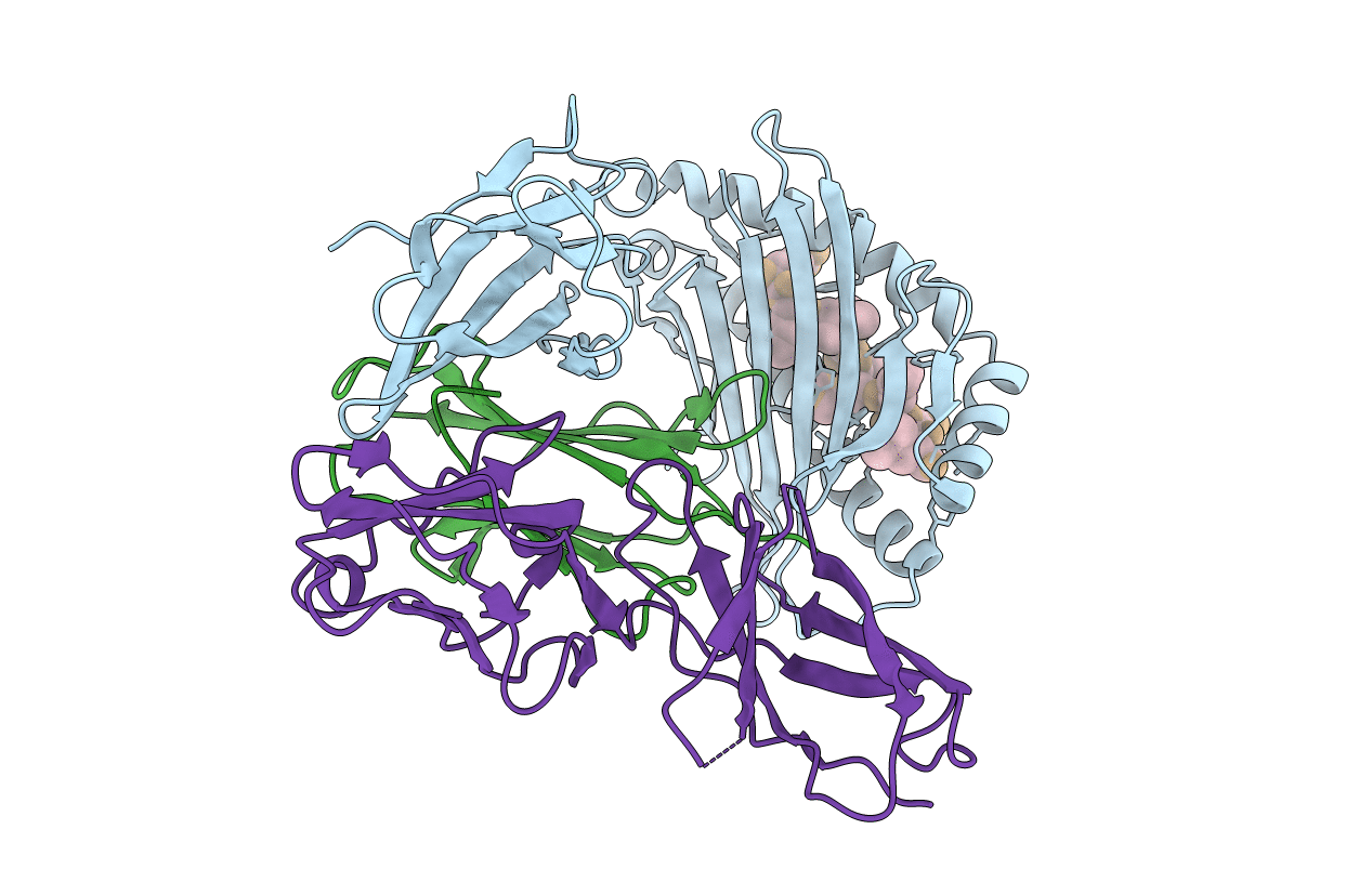 2DYP image