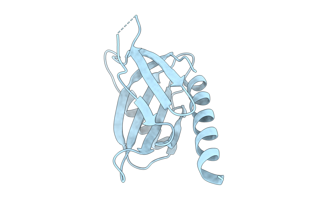 2DYQ image