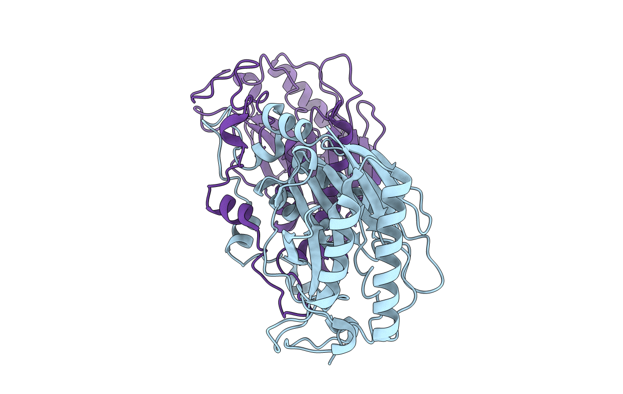 2DYU image