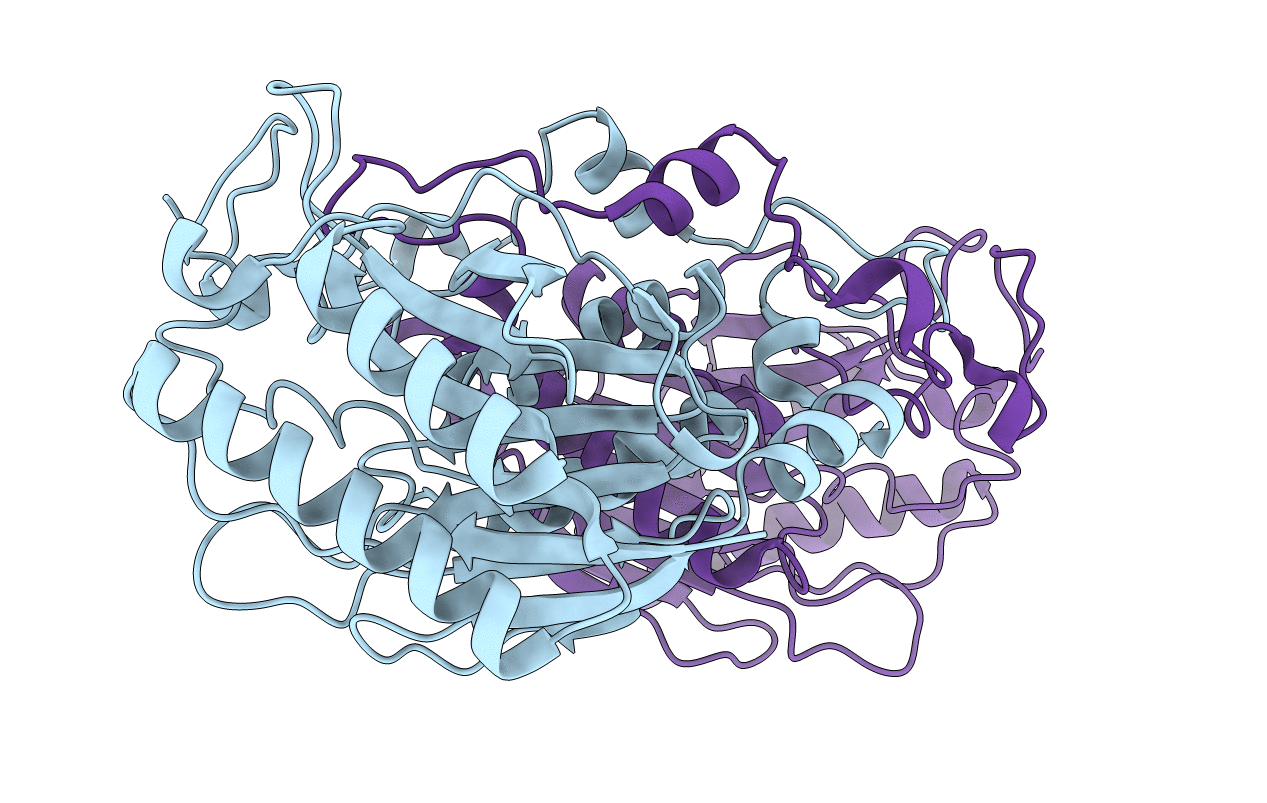 2DYV image