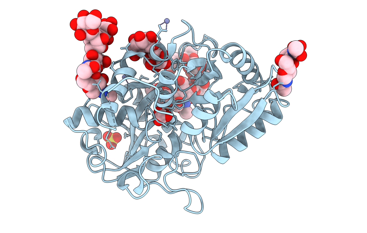 2DYX image