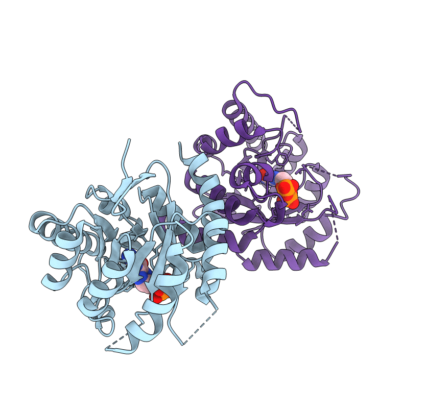 2DZB image