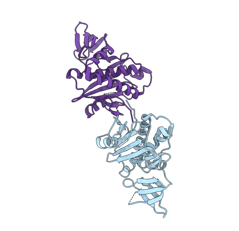 2DZC image