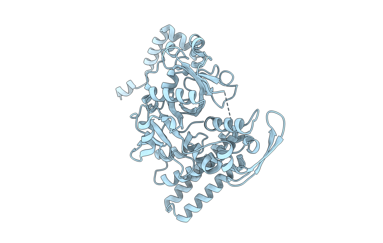2E01 image