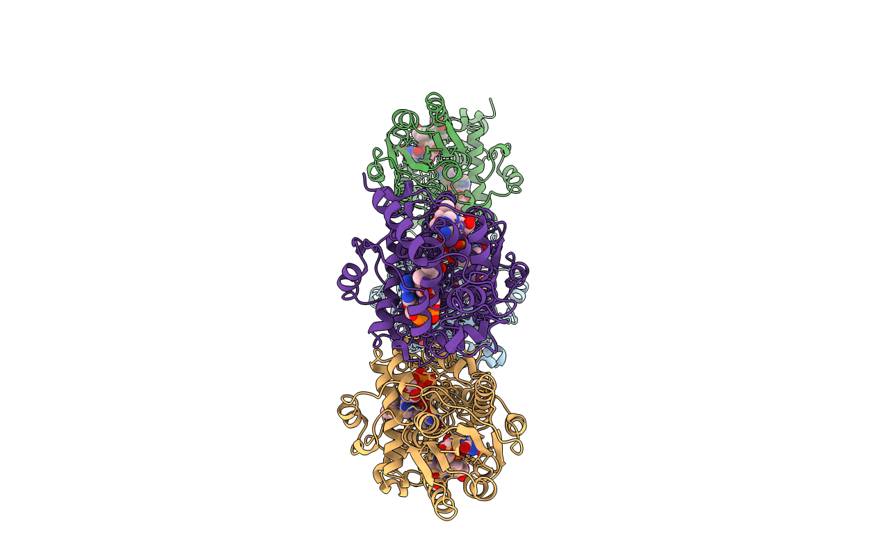 2E0I image