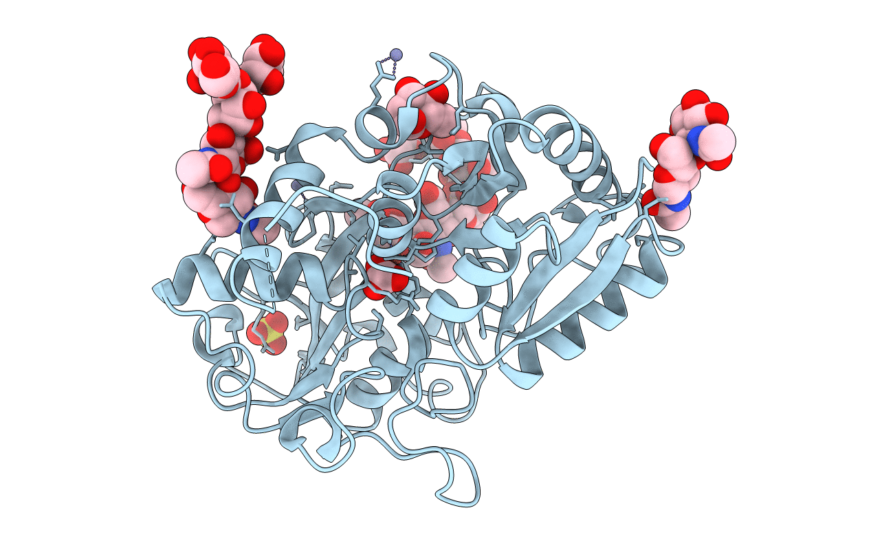 2E0S image