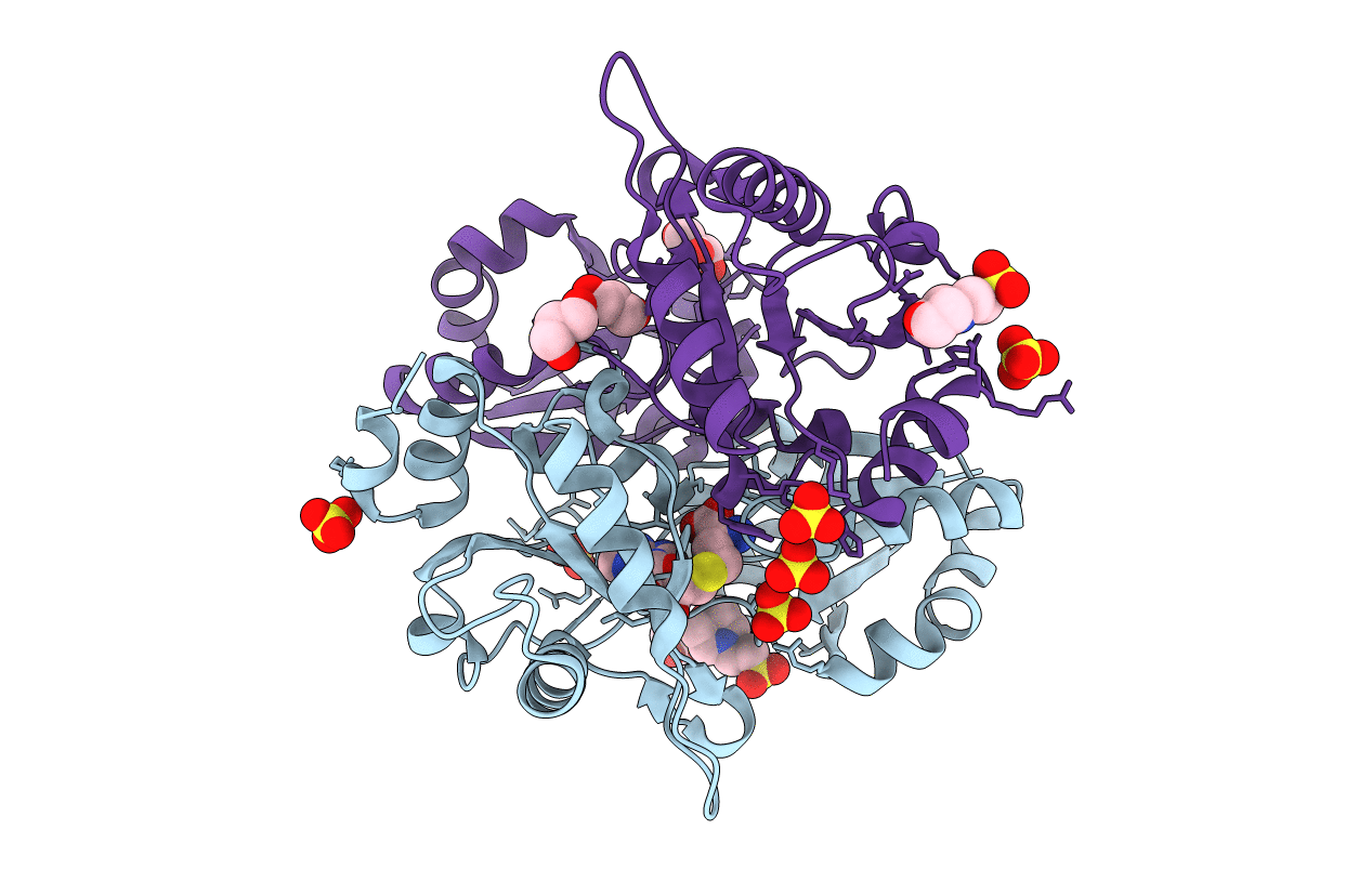 2E15 image