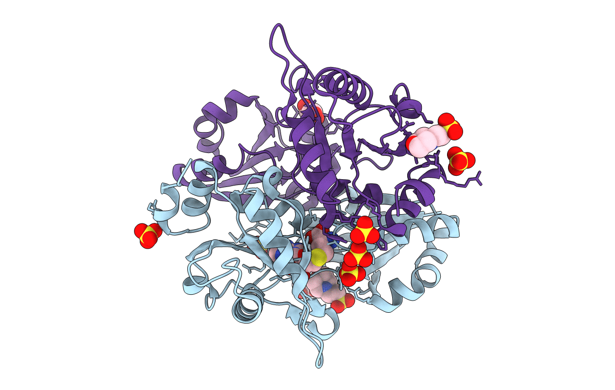 2E16 image