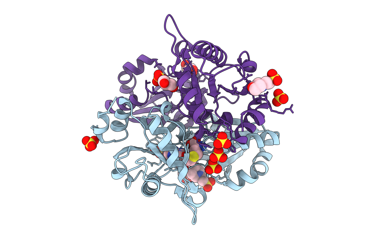 2E17 image