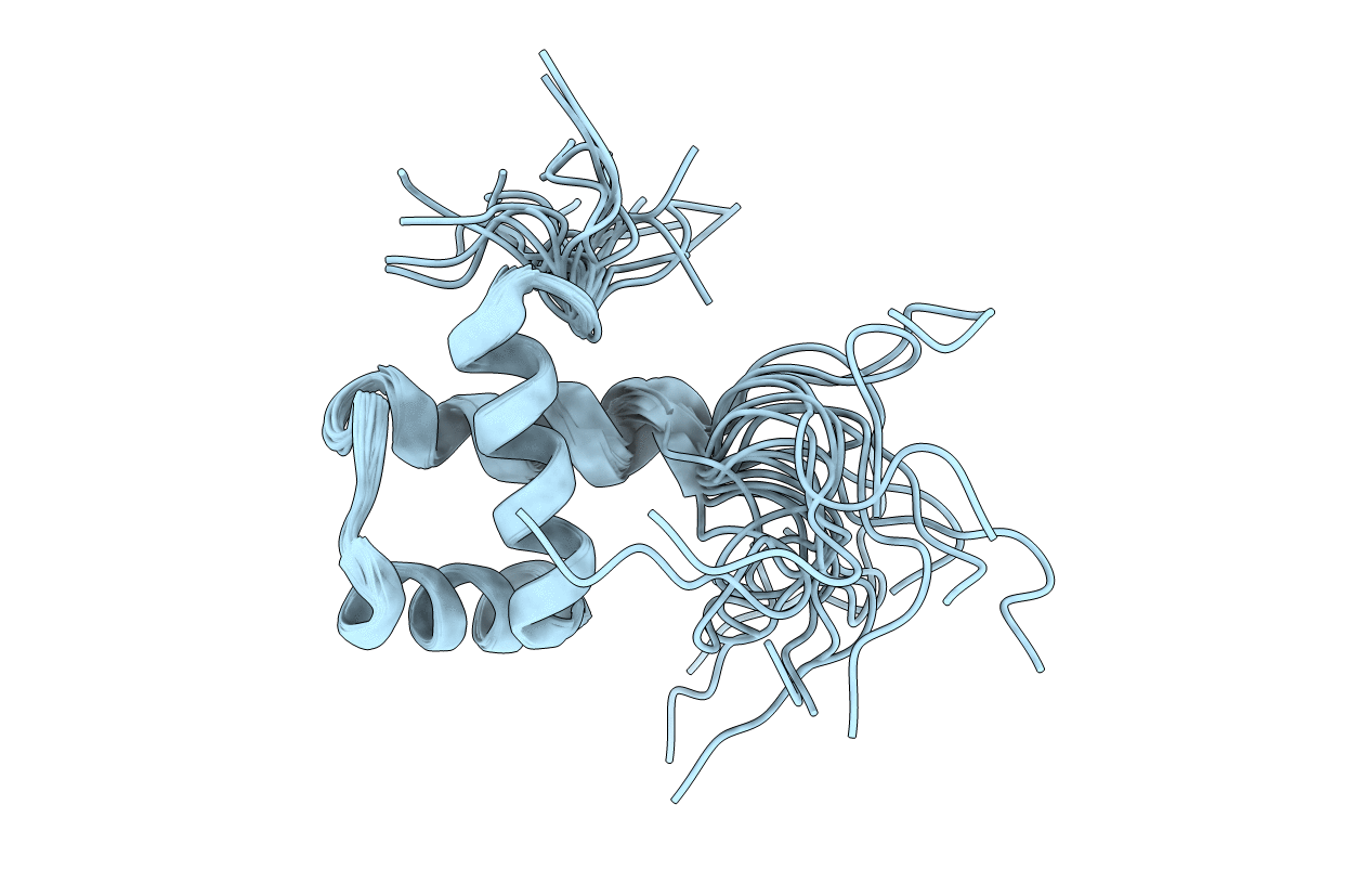 2E19 image