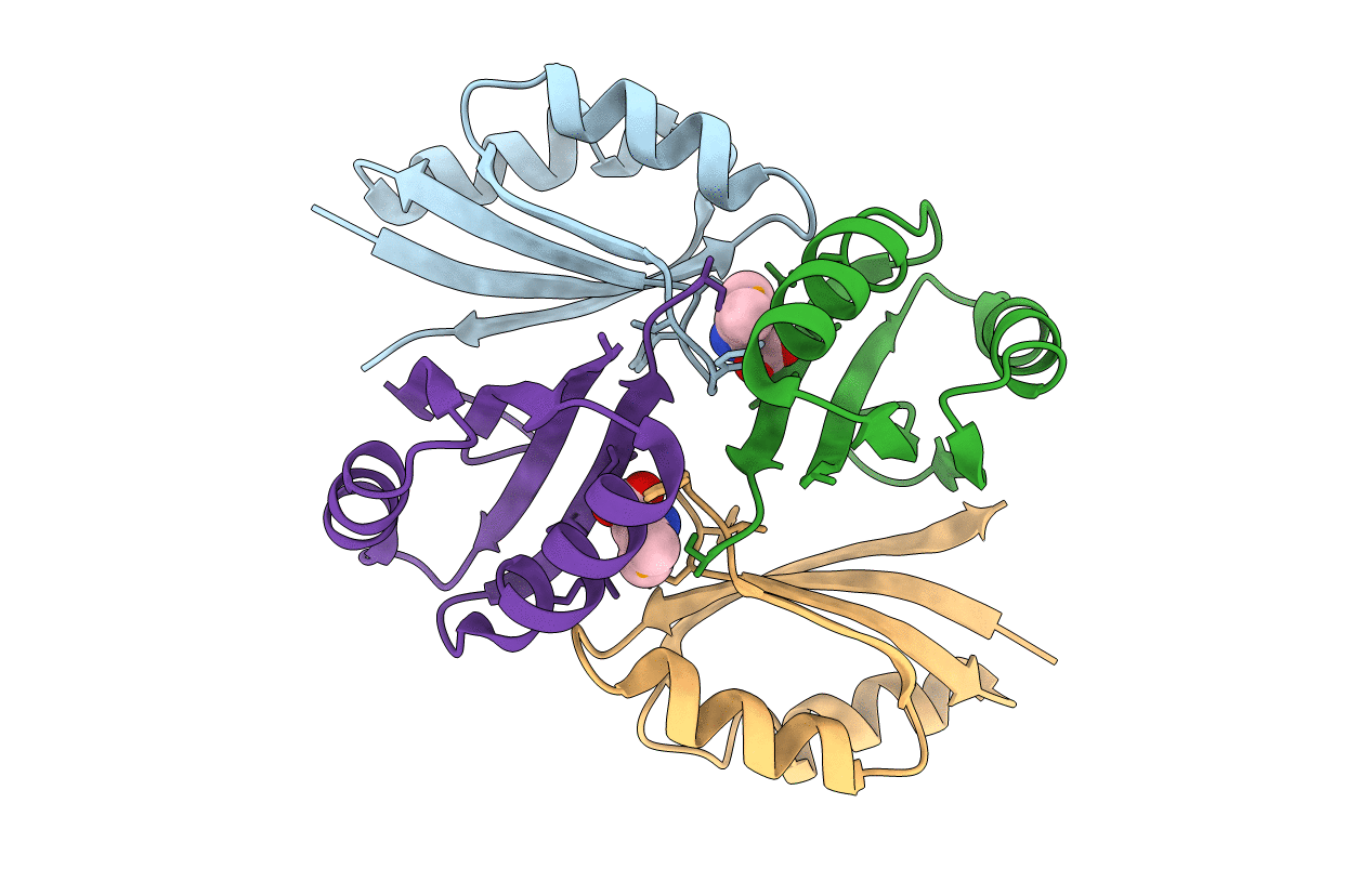 2E1A image