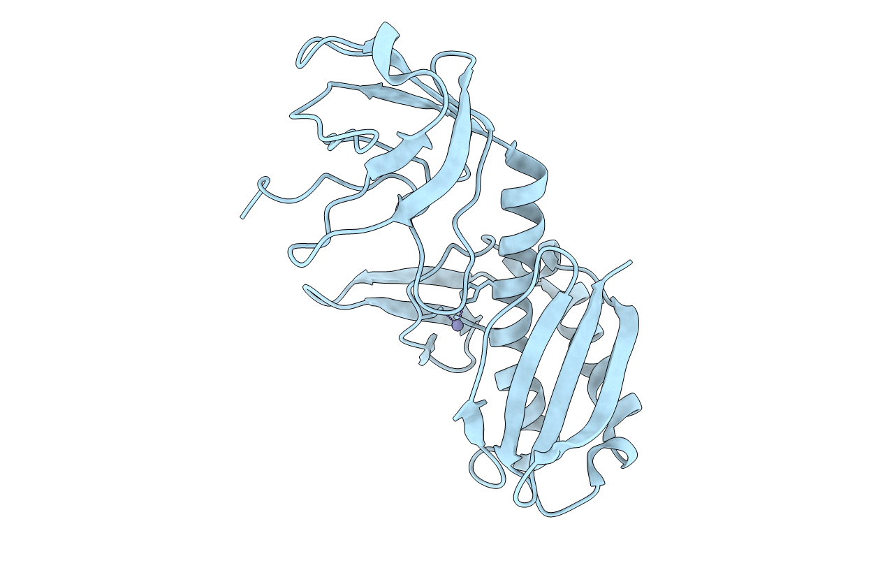 2E1B image