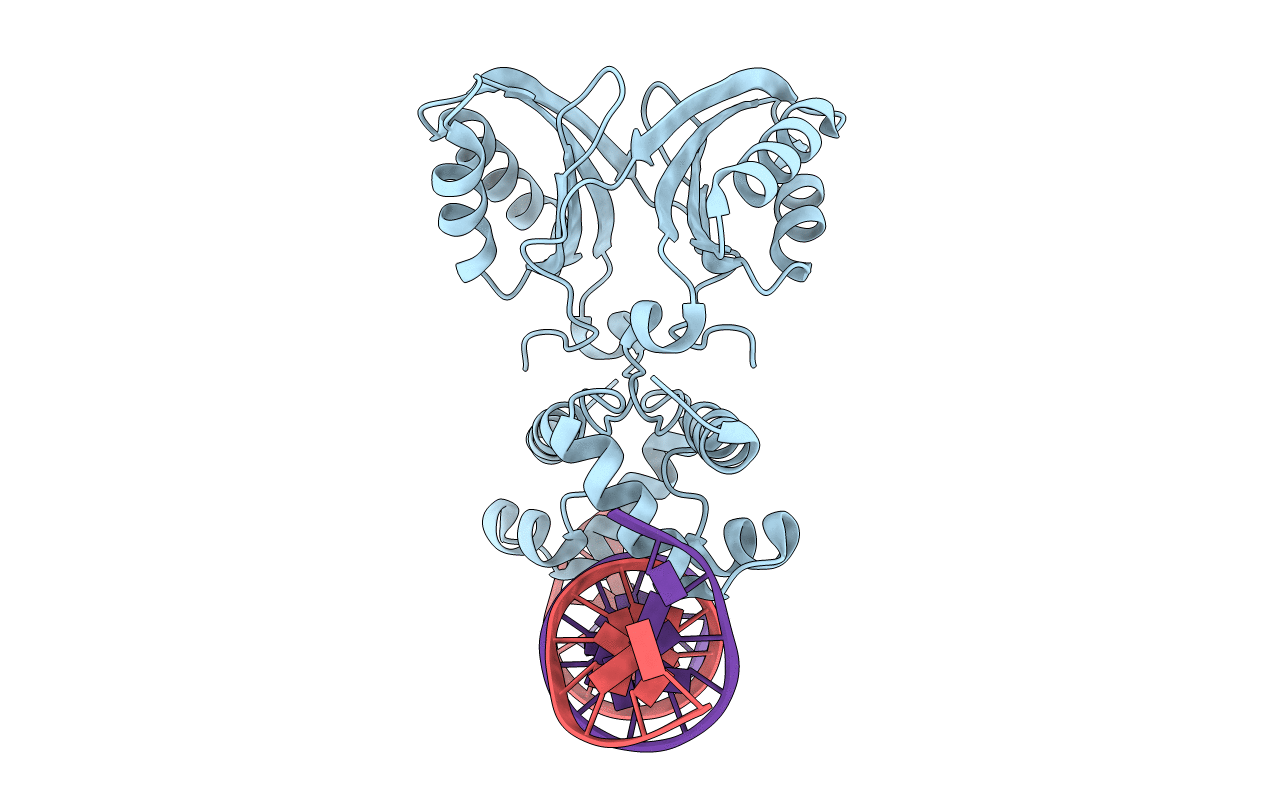 2E1C image