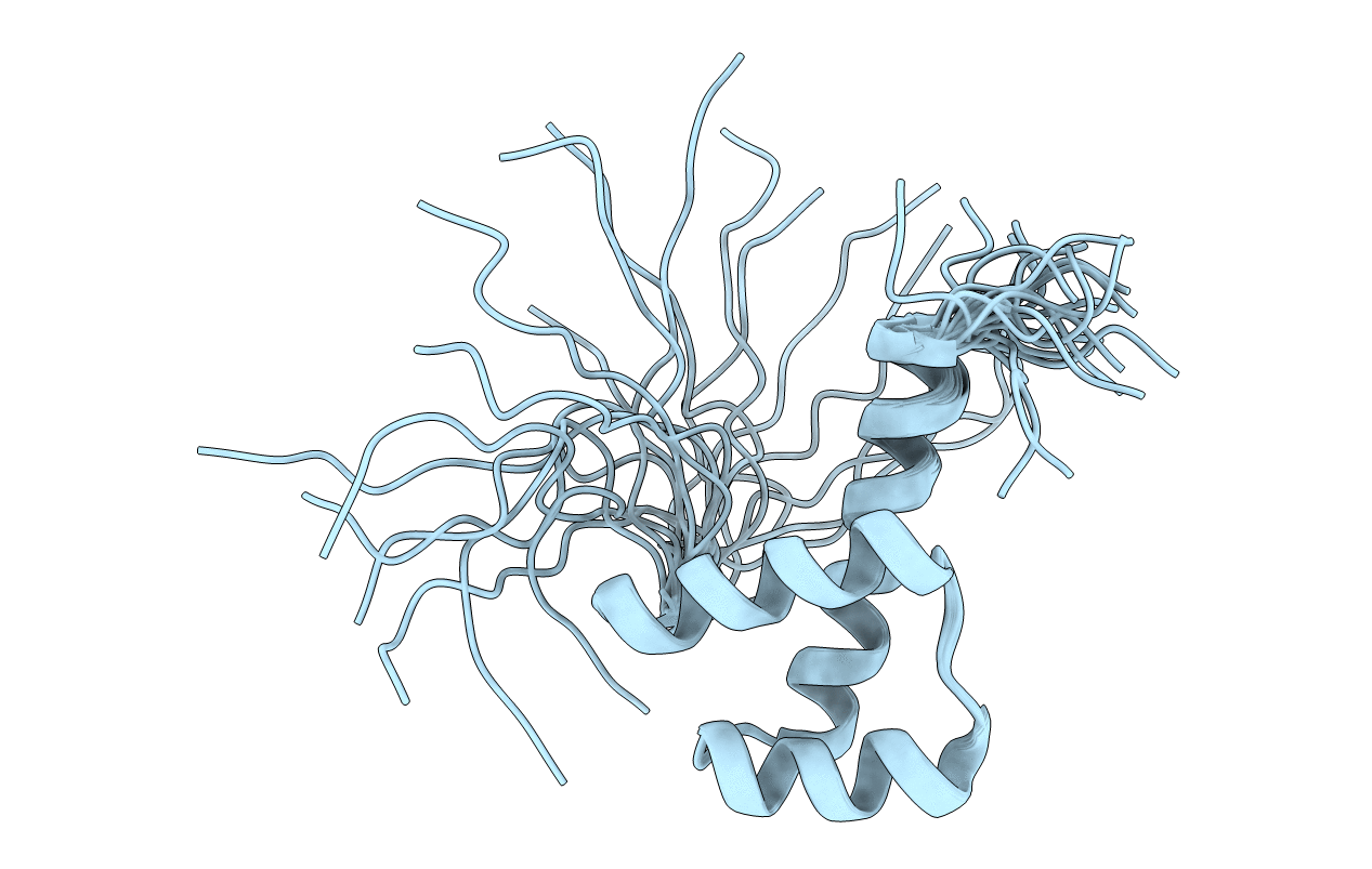 2E1O image