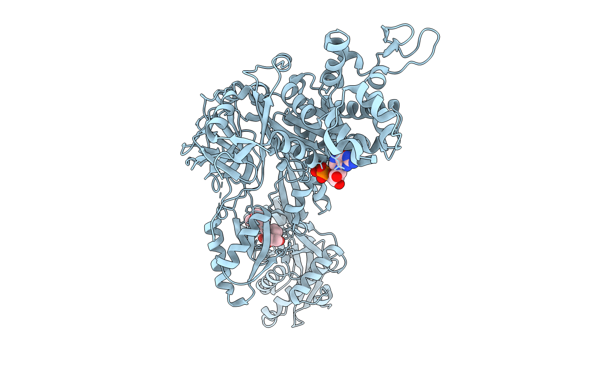 2E1R image