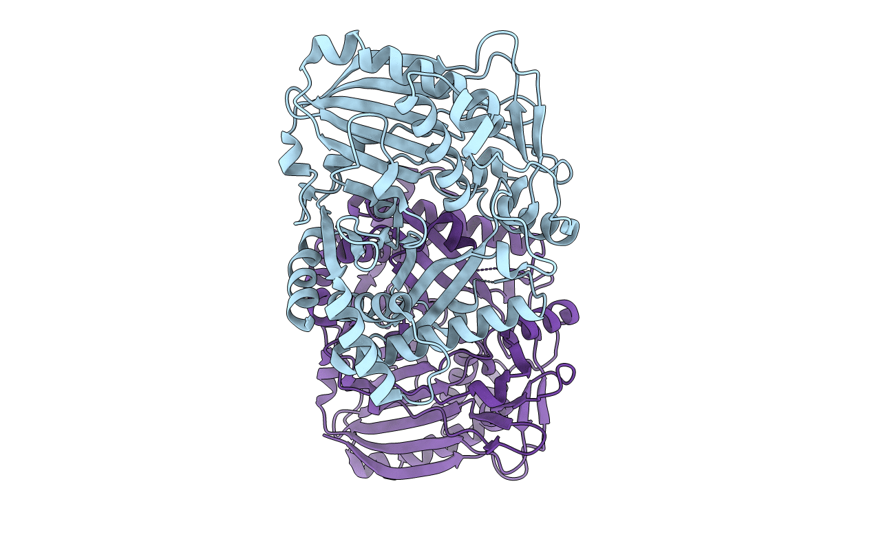 2E1U image