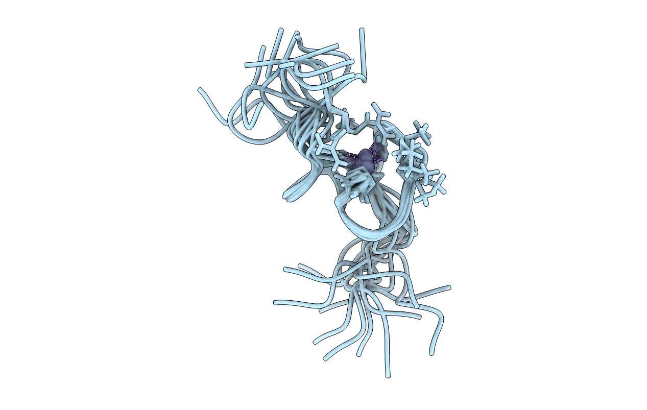 2E1X image