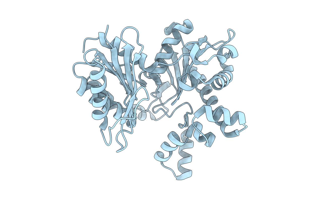 2E1Y image