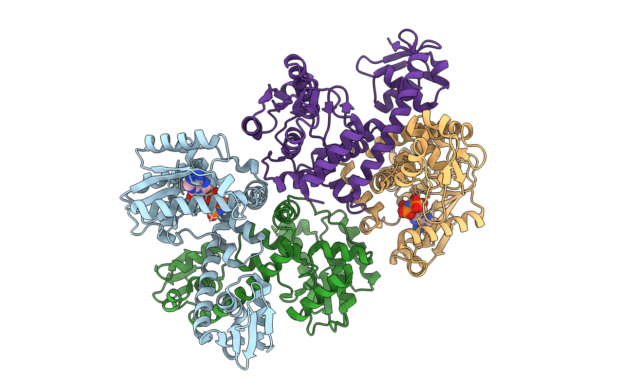2E21 image