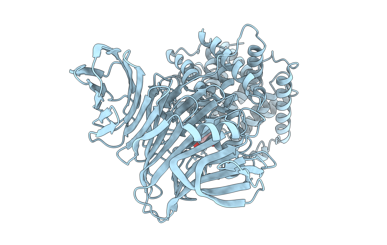 2E24 image