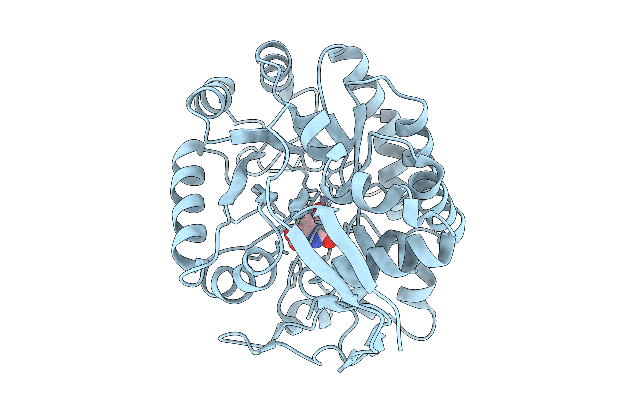 2E25 image
