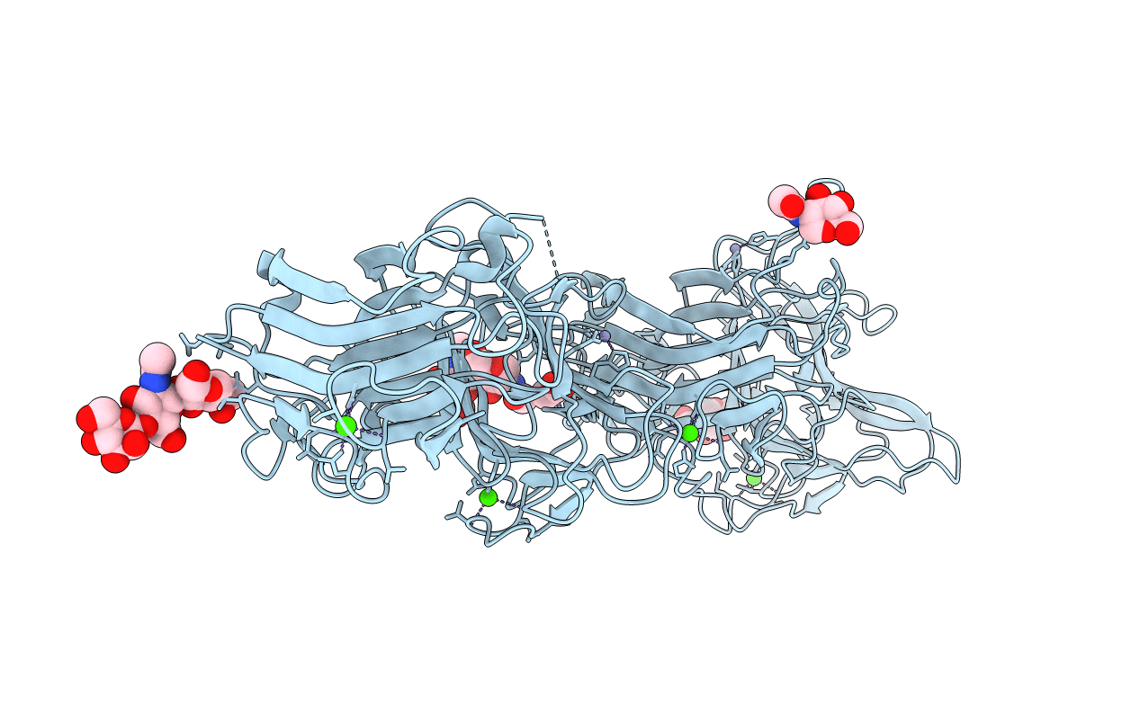 2E26 image