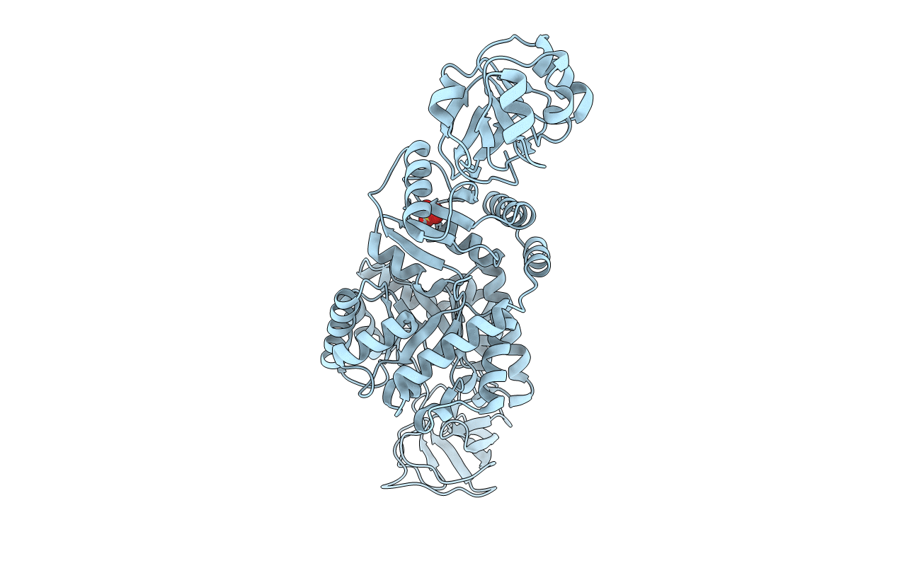 2E28 image