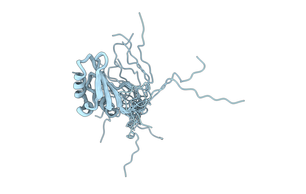 2E29 image