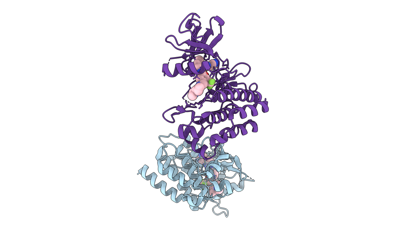 2E2B image