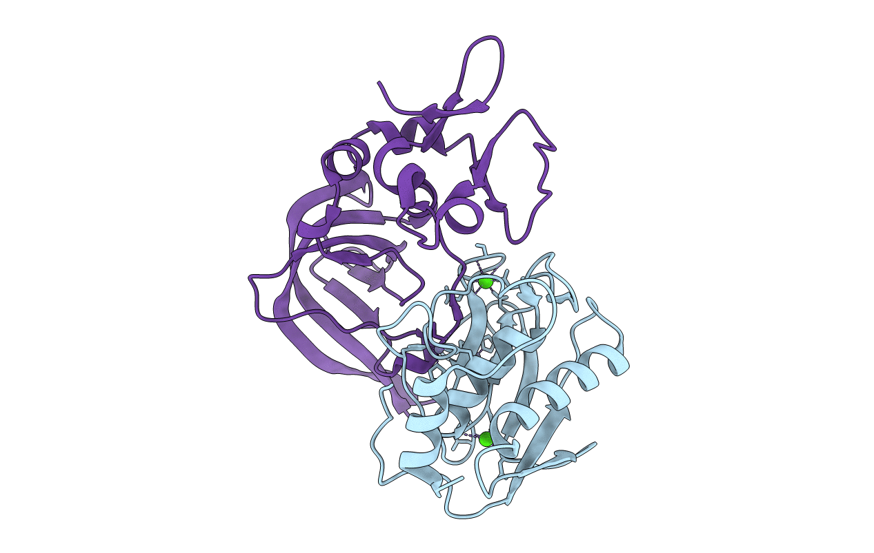 2E2D image