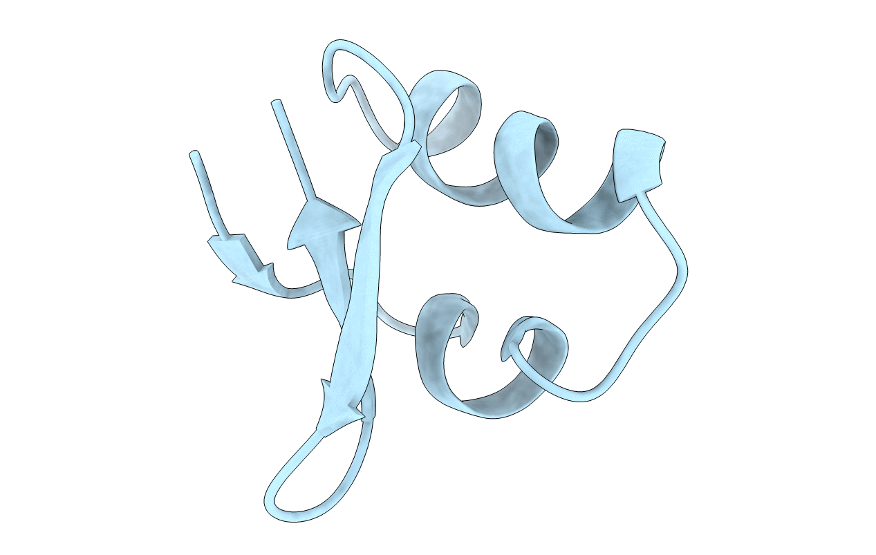 2E2F image