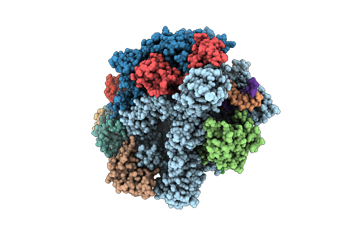 2E2H image