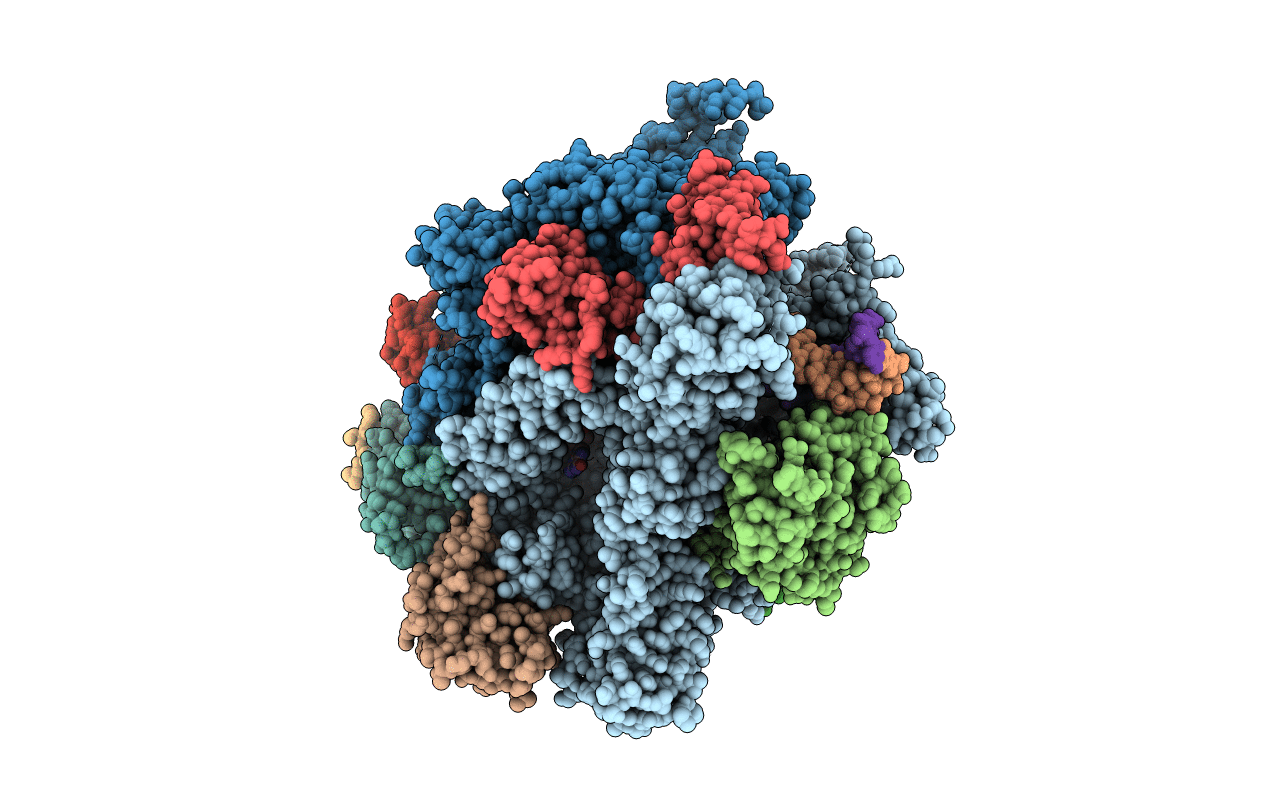 2E2I image