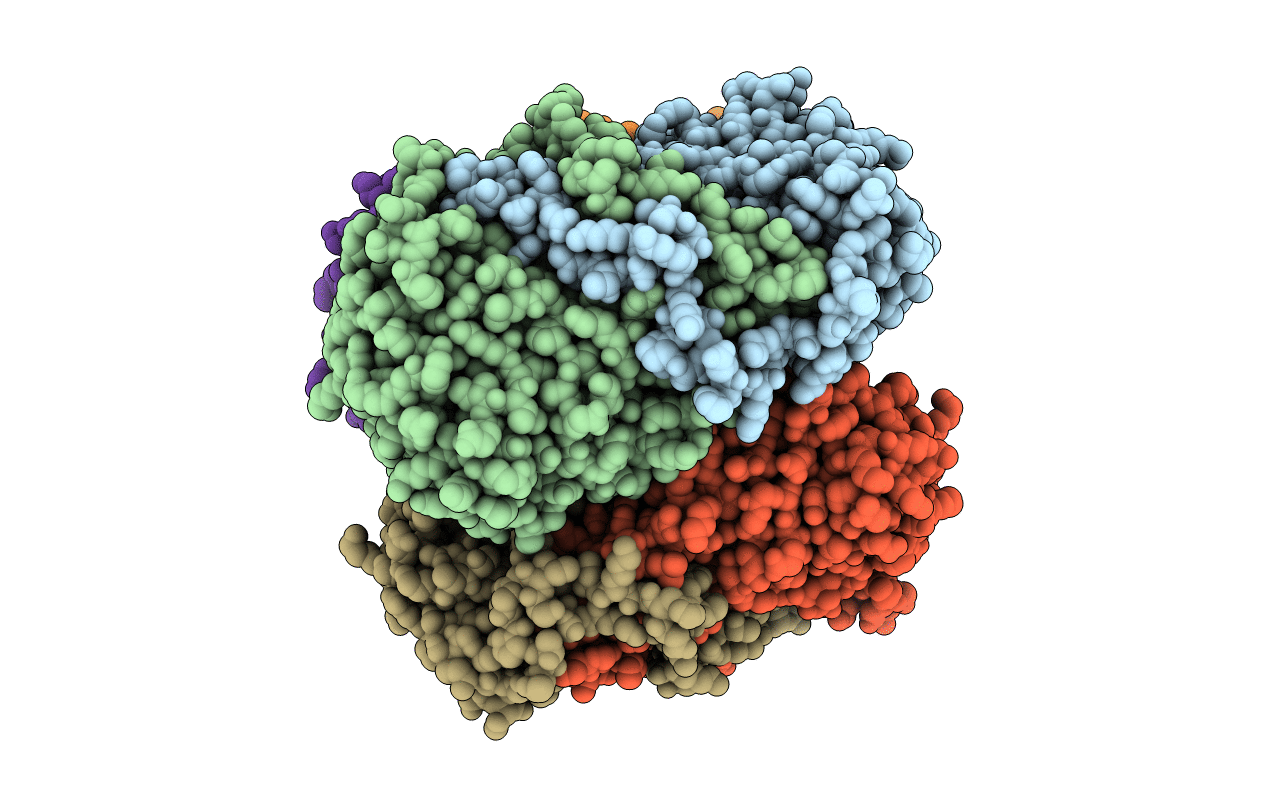 2E2L image