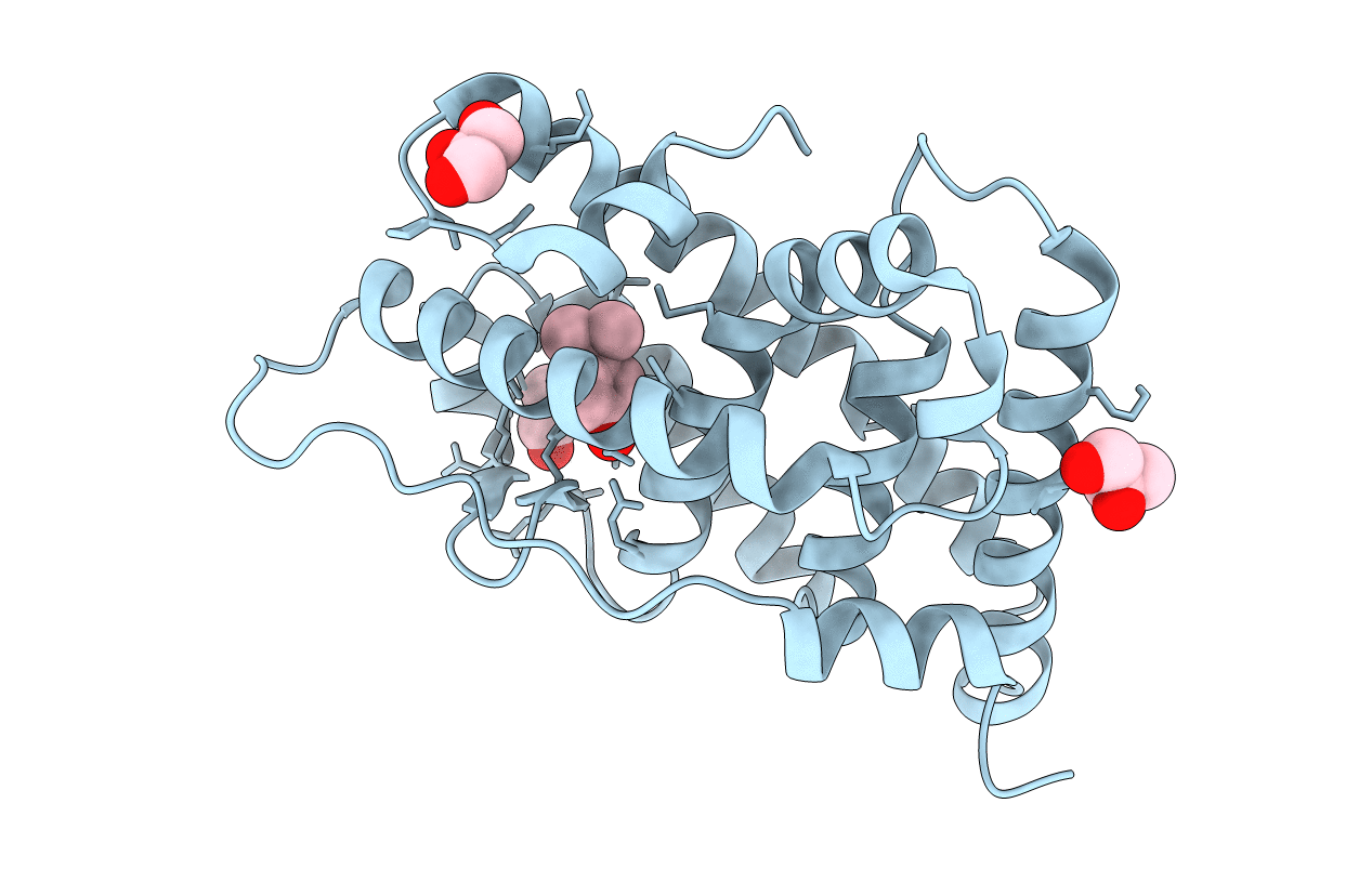 2E2R image