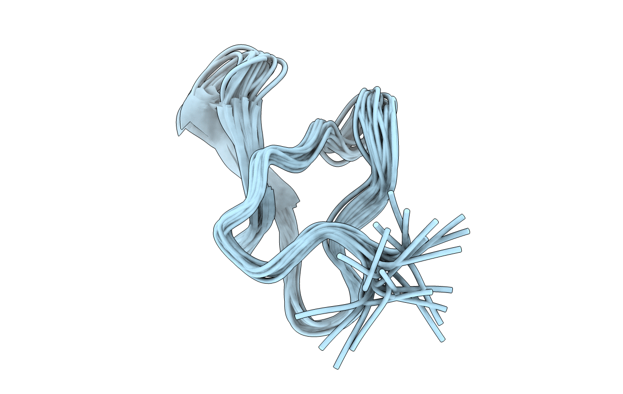 2E2S image