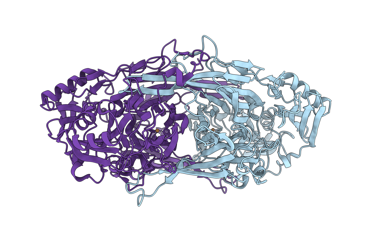 2E2U image