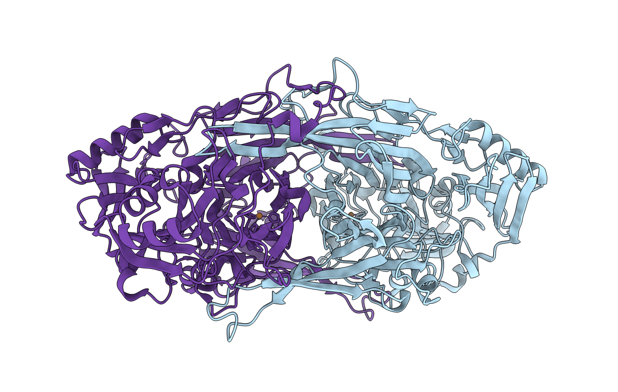 2E2V image
