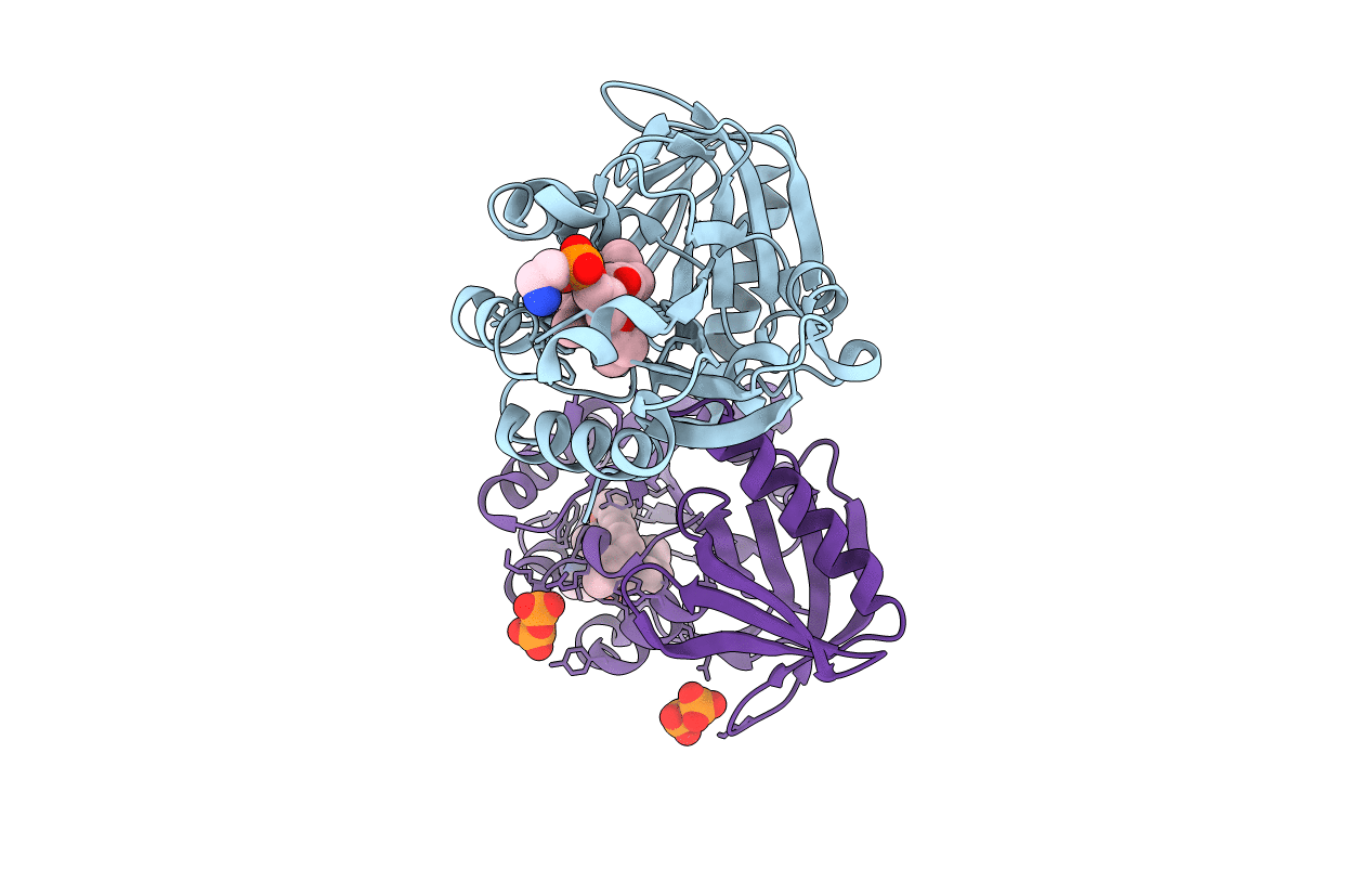 2e2x image