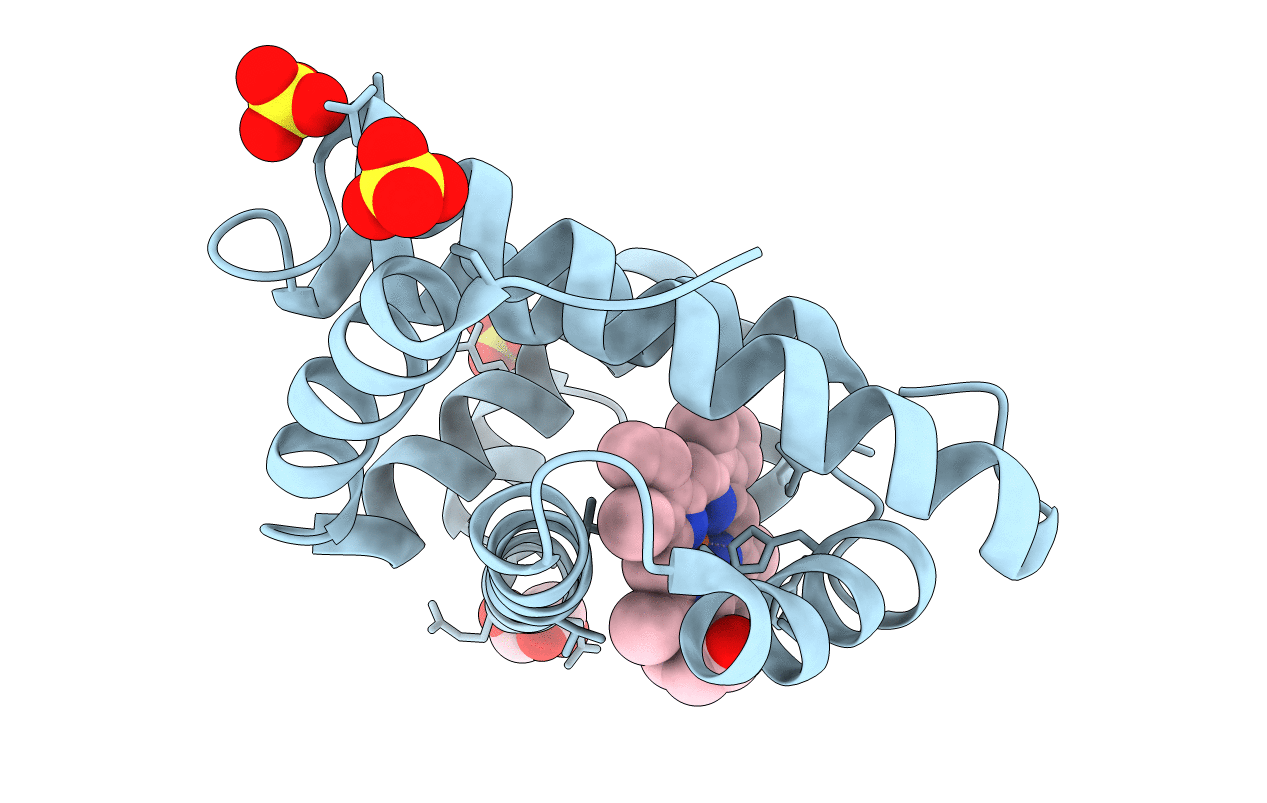 2E2Y image