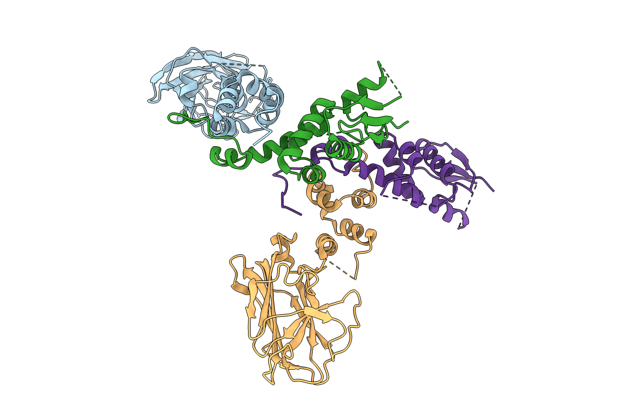 2E32 image