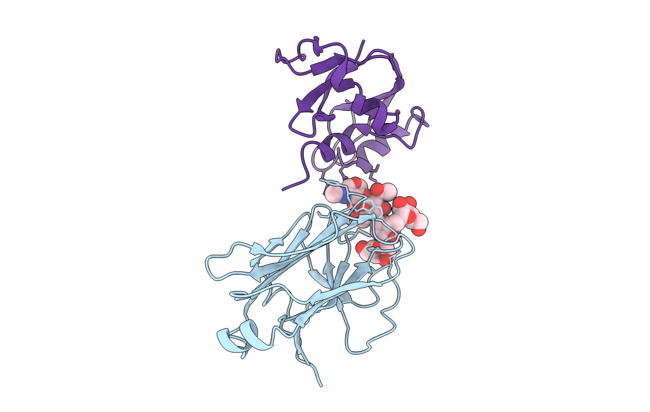 2E33 image