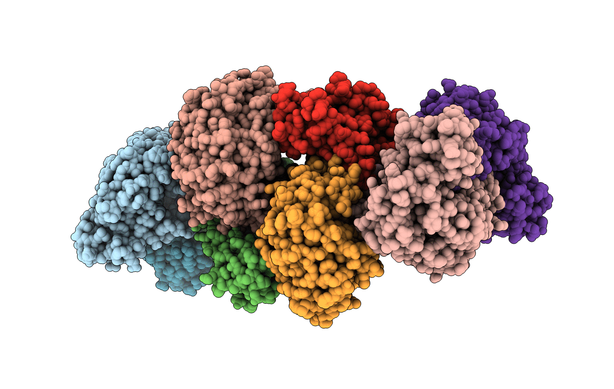 2E37 image