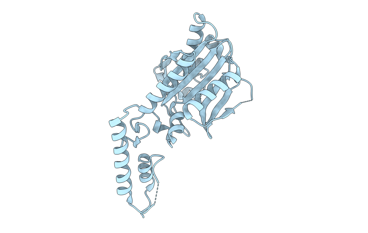2E3C image