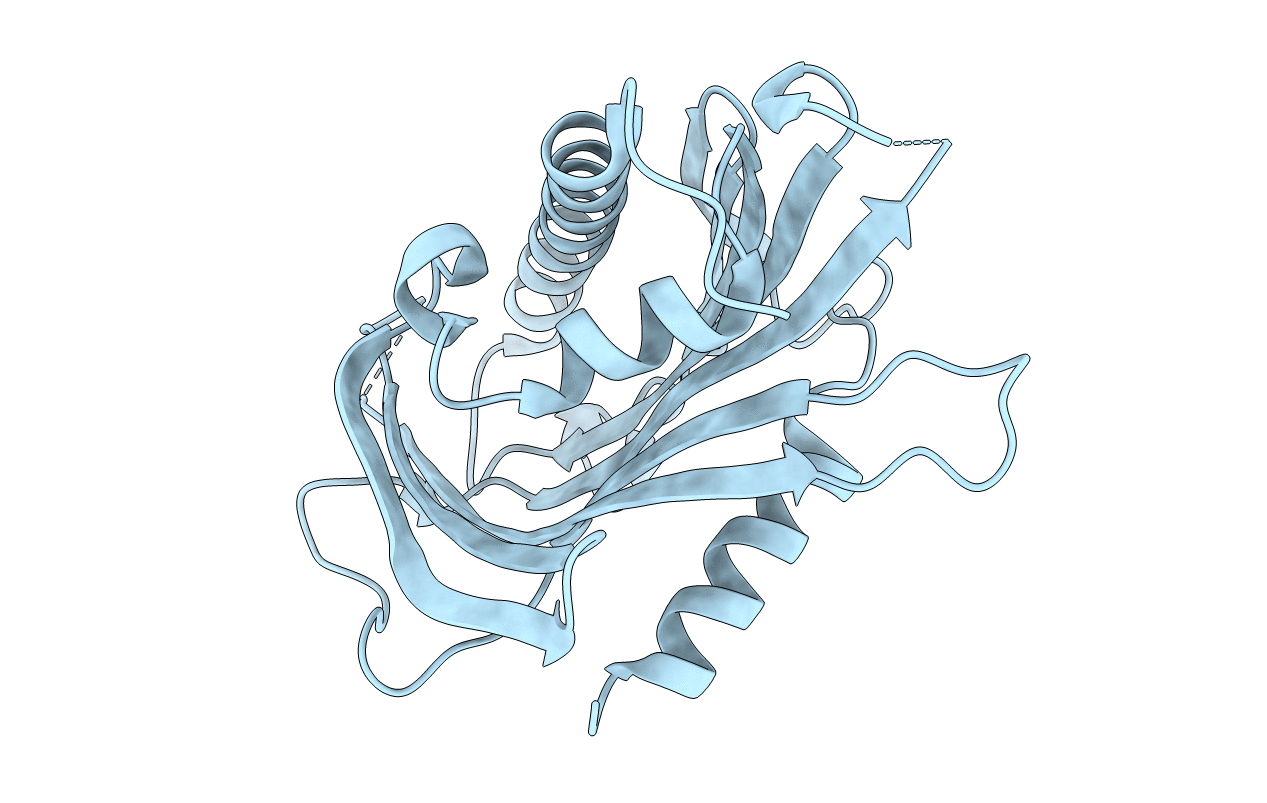 2E3S image