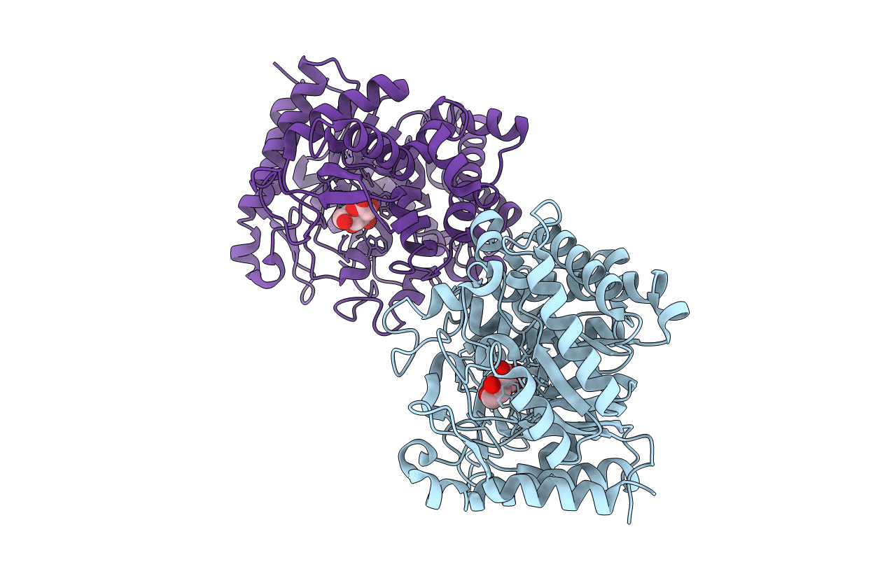 2E40 image
