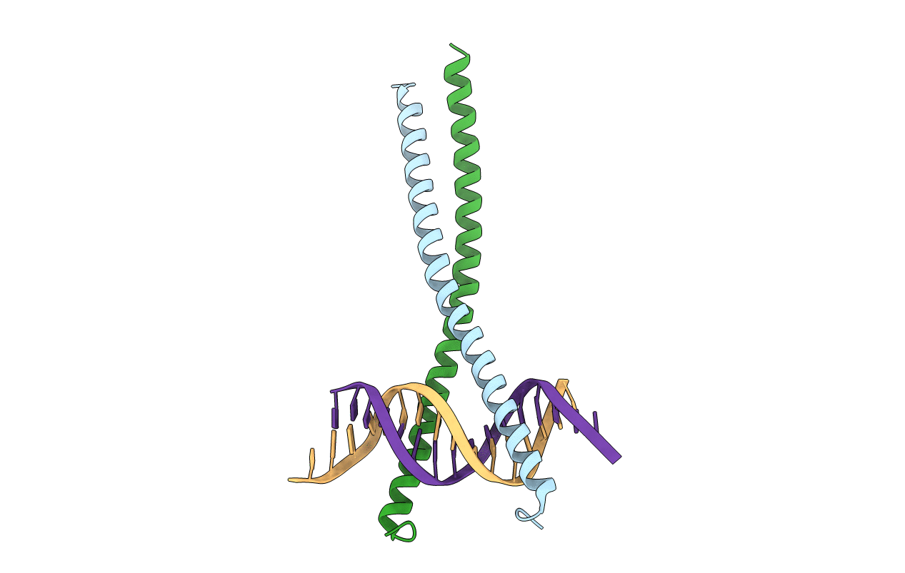 2E42 image