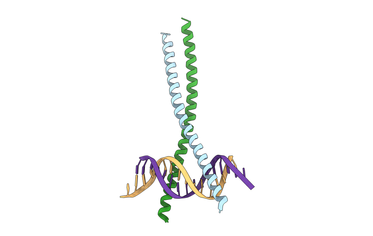 2E43 image